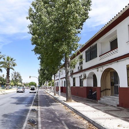 Апартаменти Letmalaga Sweet Family Екстер'єр фото